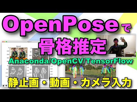 Skeleton estimation using OpenPose [Intel Mac] Anaconda/OpenCV/TensorFlow