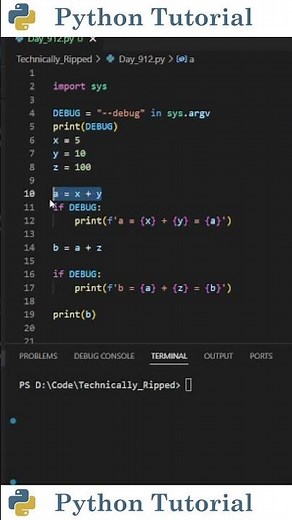 Add Debug Mode to Your Python Script | Python Tutorial