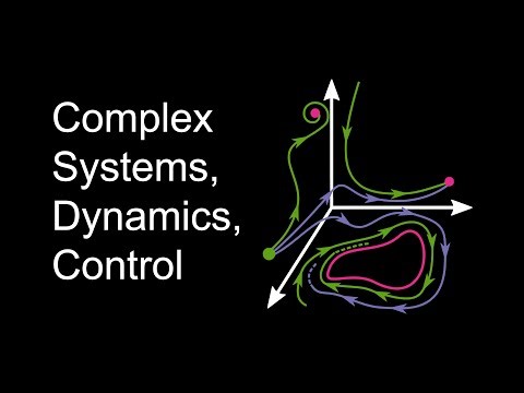 What is a complex system?