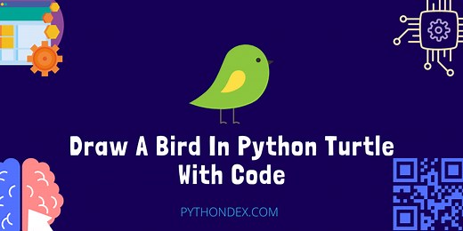 Draw A Bird In Python Turtle With Code - Pythondex