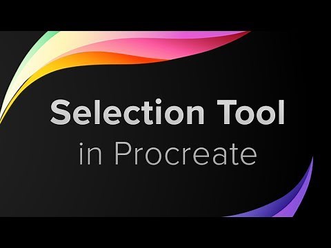 Procreate Tutorial: Selection Tool | Part 8: