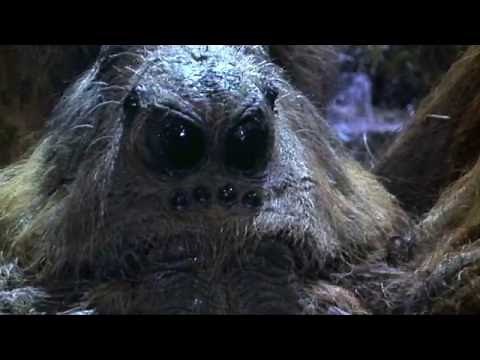 Top 5 Giant Movie Spiders | TheCrypticCinema