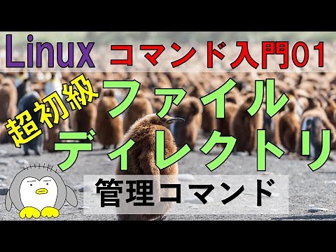 [Linux Command Basics 01] Managing Files Creating and deleting files and directories in Bash, and...