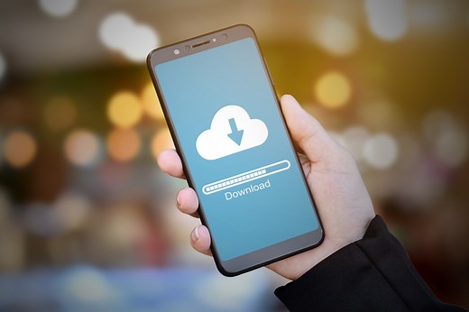 Customs Info Database User Guide