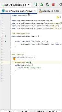 Create REST API and Document REST API in Spring Boot #springboot #java #restapi