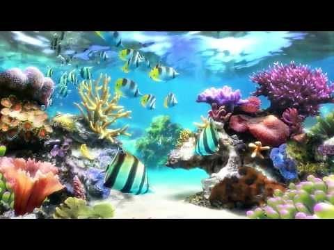 Sim Aquarium - Screensaver & Live Wallpaper - SimAquarium.com