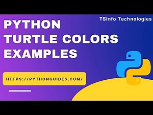 How to use colors in Python Turtle | Python Turtle Colors