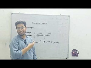 What Java Developer do? What is OOP Concept in Java | Java Language & Framework