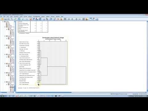 Hierarchical Cluster Analysis SPSS