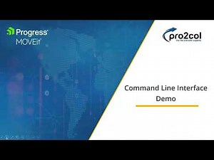 Scripting in MOVEit Automation