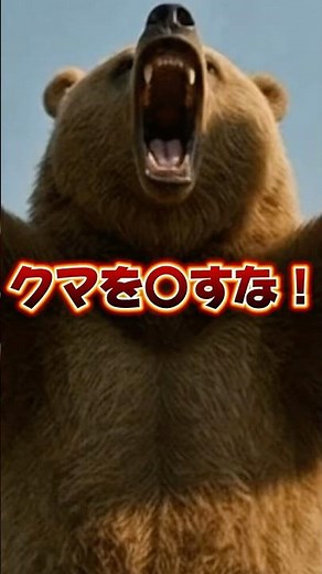 クマ駆除に反対する声の裏にあるハンターの思い… #雑学 #クマ #熊 #ツキノワグマ #ヒグマ #クマ事件