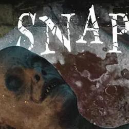 SNAP SNAP Latest Version for Android/iOS - TapTap