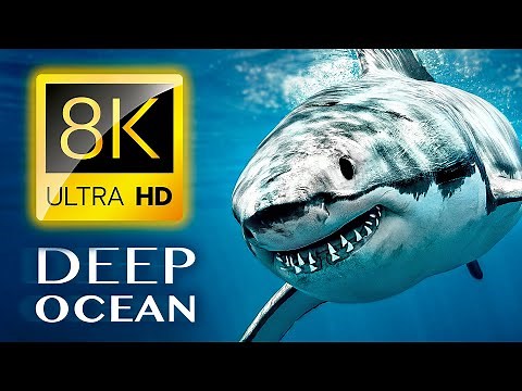 THE DEEP OCEAN | 8K TV ULTRA HD / Full Documentary