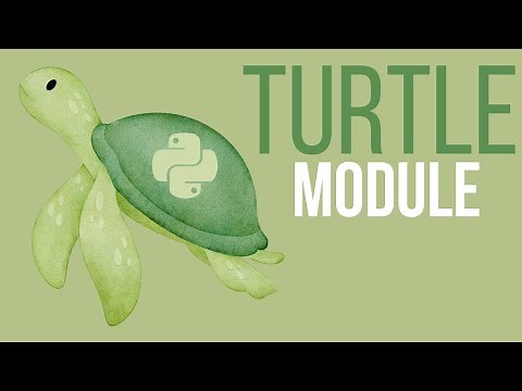 How To Use Turtle Module | Python Tutorial for Turtle Import