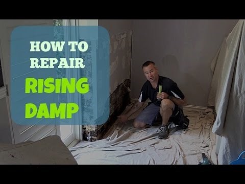 How To Repair Rising Damp In A Wall.