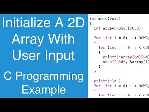 Initialize A 2D Array With User Input | C Programming Example