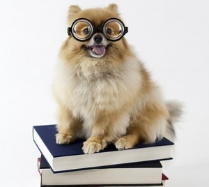 8 Easy Russian Books for Learners | FluentU Russian Blog