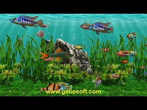 3D Fish School Aquarium Screensaver - Amazon River & Coral Reef Fish Tank