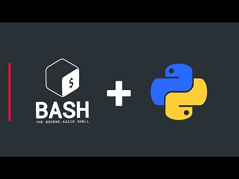 Create A Bash Executable File To Run Python Scripts (Or Any Program) For Automation