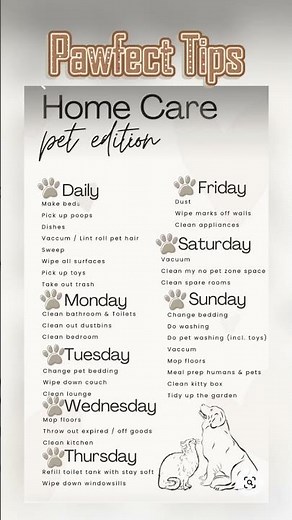 Home Care Routine for Pets: Keep Your Pets Healthy