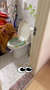 🐶Dose d'humour😻Chien et Chat​❤️​ 🐶Dose of humor😻Dog and Cat​❤️​ 🐶jureat min alfukahati😻kalb waqitat❤️ | JeanLou Leleu