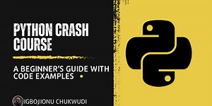 Python Crash Course: A Beginner's Guide with Code Examples