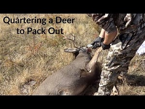 How to Clean, Quarter & Field Dress Deer for Backpacking Out