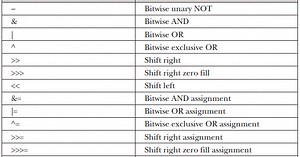 Bitwise Operators in Java