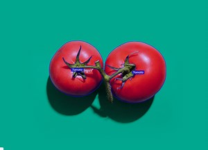 What Is Data Annotation? Definition, Tools, Datasets [Guide]